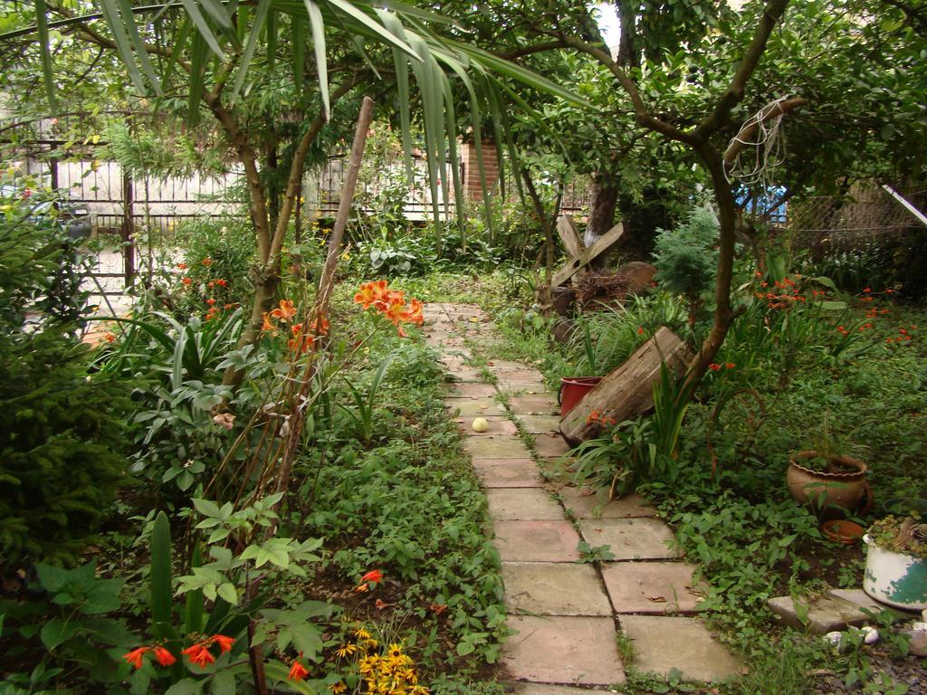 Guest House Temuri บาทูมิ ภายนอก รูปภาพ